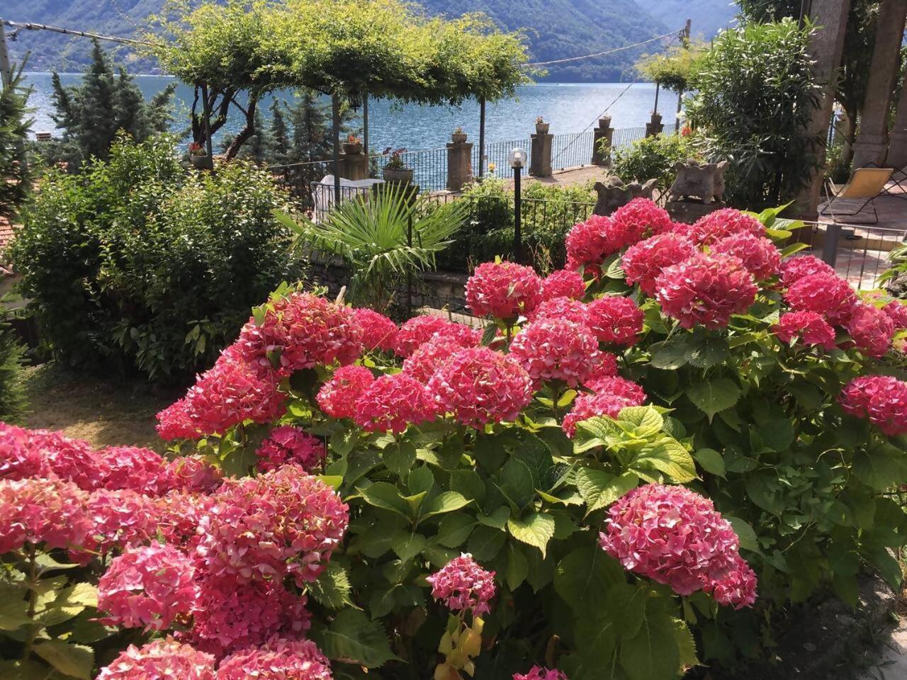 Villa Peroni Honeymoon Cottage Argegno Exterior foto